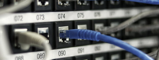 Ethernet cable connected to numbered ports on a network switch